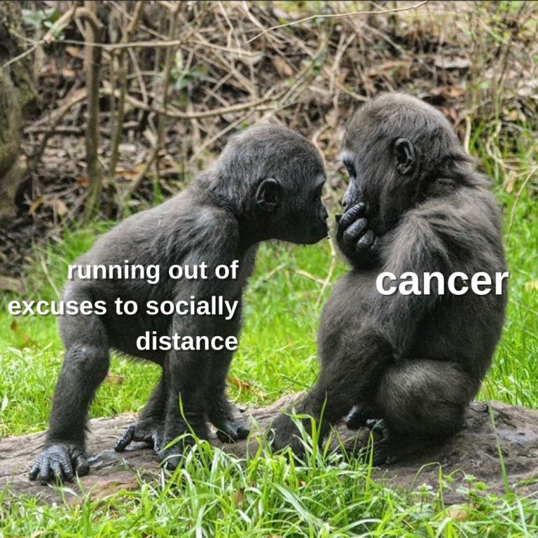 Dallastrology: Quit Monkeying Around This Cancer SZN. | Central Track