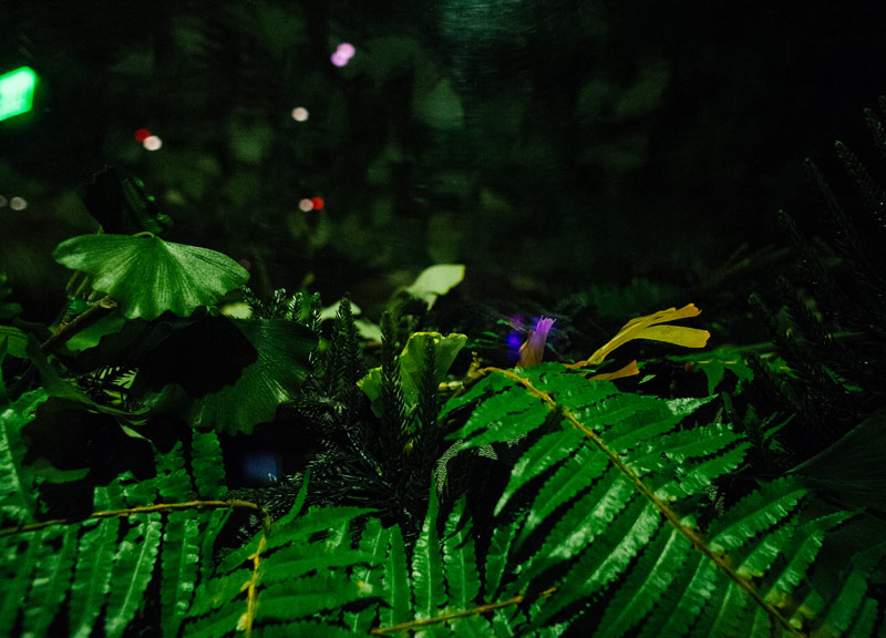 5084_8